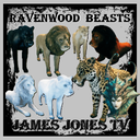 JamesJonesTV-Ravenwood_Beasts-1.0.3 icon