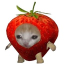 JellyPacks-Basics_Pack_2 icon