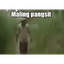 JustCray-MalingPangsit-1.0.4 icon