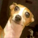 KaawS-TrincaXota2 icon