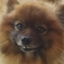 Keatzu-K_stuff icon