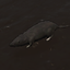 Keldos-RatScrap-1.0.0 icon