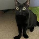 Kopsikteam-GTFO_trio icon