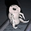 Kora-ManPeter_Griffin-1.0.0 icon