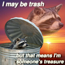 LammyShark-MaeCoonSuit icon