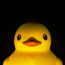 Lancer_Gaming-Duck icon