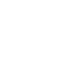 Lazurut-dvd_logo_mod icon
