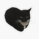 LazyCatStudios-Hide_and_Seek_Company-1.0.1 icon