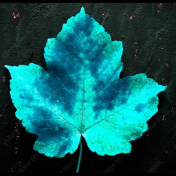 Leaves-LeavesQOL icon