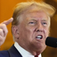 LethalMemeTime-TrumpButler-1.0.3 icon