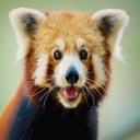 LitterallyJustMe-JeefersCursedSoundMod icon
