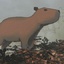 LoddZee-Capybara_MouthDog-1.0.0 icon
