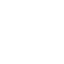 Lodington-Aerolt icon