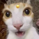 Lucho_Portuano_69-LETAL_CHAMBA icon