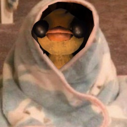 LucidMD-HonkyDucky icon