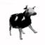 LucidMD-PolishCowMusicBox-1.0.0 icon