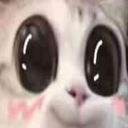Lucky-Le_TV_Paque icon
