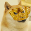 MCYGG-YGGCOSMETICS-1.0.1 icon