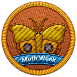 MIIk-MothysMp3s icon