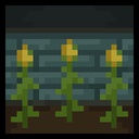 Magic_Wesley-Greenhouse icon