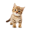 Map_Friends-Map_Friends-1.0.0 icon