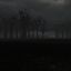 Marcel-5801_The_Forest-1.3.0 icon