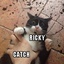 McMittens-RickyCoilHead-1.0.4 icon