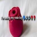 Medicus_Fallstar-Rose_Toy icon