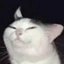 MelonGoonsquad-RoR1BanditPrimary-1.2.1 icon
