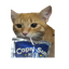 MentallyDeficient-Television_Videos-1.0.0 icon