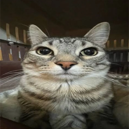 MeowzMeowz_Modpacks-MeowzReVanilla icon