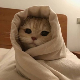 MerisuMods-Meowcraft icon