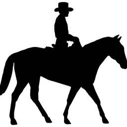 Mico27-RideMeExtended icon