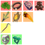 MightyWolf_-ItemScorePlus-1.1.2 icon
