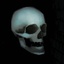 Mikusch-SkullEnemy-1.2.0 icon