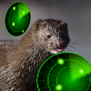 Mink-Better_Scanner-1.0.1 icon