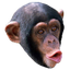 Mintoe-IIBModpack-2.0.2 icon