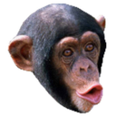 Mintoe-IntellectuallyIncompetentBois_Modpack icon