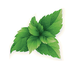 MintyFresh-MintyFreshOriginals icon