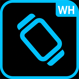 MrAssBurgers-WristHub_Quest icon