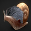 MrElz-IamTheSnailThatIsApproaching-1.0.0 icon