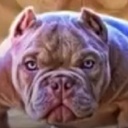 MrMistake-PimpyBapeShipIntro-1.0.0 icon
