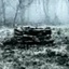 Mr_TV-The_Ring-1.0.2 icon
