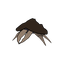 Mudcrab-MC_My_leg-1.0.2 icon