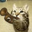 Murka124-PeakBugleMeowsynth-1.0.1 icon