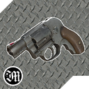 Muzzle-Smith_And_Wesson_Ladysmith icon