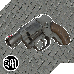 Muzzle-Smith_And_Wesson_Ladysmith icon