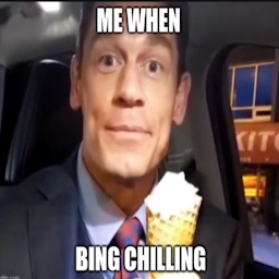 NEVAR-Duck_saying_BingChilling icon