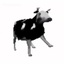 NEVAR-PolishCowMusicBoxValuable-1.0.2 icon