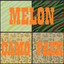 NGA-MelonCamoPack-1.0.0 icon